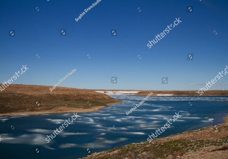 Arctic Landscape in the Summer